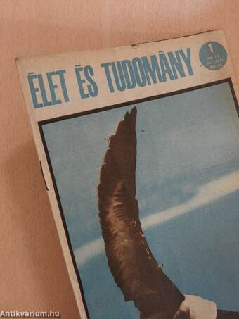 Élet és Tudomány 1966. (nem teljes évfolyam)