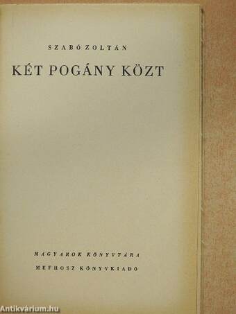 Két pogány közt