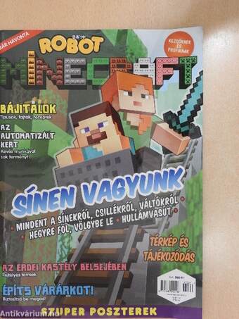 Robot Minecraft 2017/2