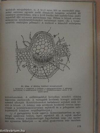 Biológiai laboratóriumi gyakorlatok I.