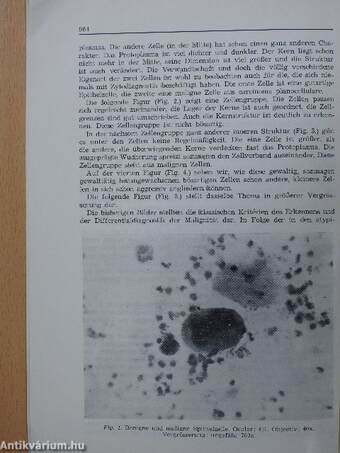 Ein versuch, eine parallele zwischen den informationen der Zytogramme und denen der non-figurativen bildenden kunst zu Ziehen, im Sinne der "Bioromantik" von ernst Kállai (dedikált példány)