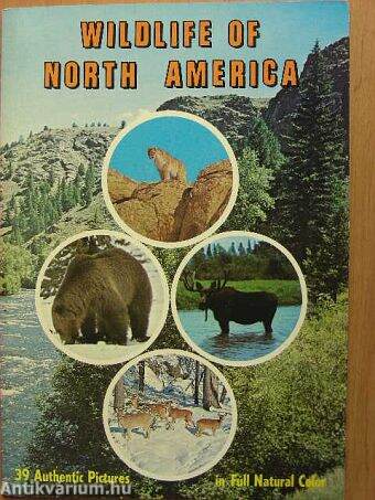 Wildlife of North America