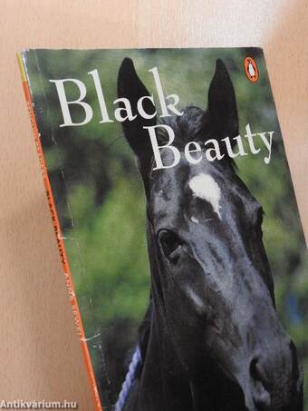 Black Beauty