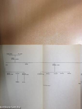 Szegedi könyvtári műhely 1985/4.