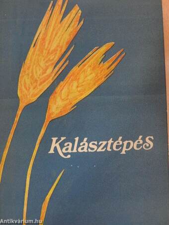 Kalásztépés