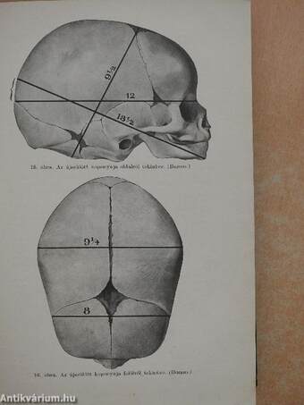 Szülészeti műtéttan/Szülészeti és nőgyógyászati propedeutika. A fiziologiás terhesség, szülés és gyermekágy I.