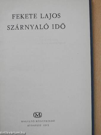 Szárnyaló idő