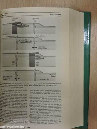 Webster's Concise Encyclopedia