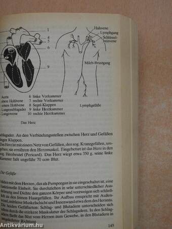 Das große Kneipp-Hausbuch