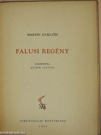 Falusi regény