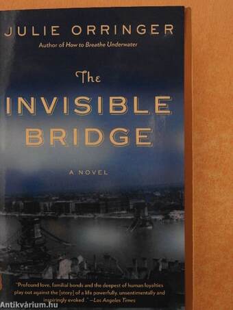 The Invisible Bridge