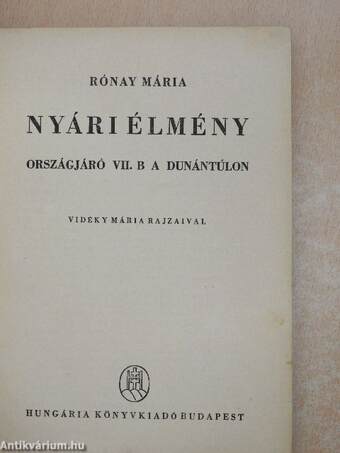 Nyári élmény