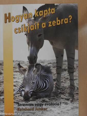 Hogyan kapta csíkjait a zebra?