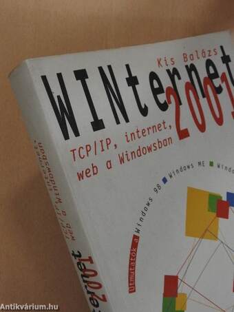 WINternet 2001