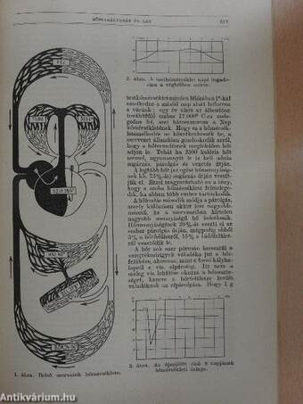 Természettudományi Közlöny 1936. október 1-15.