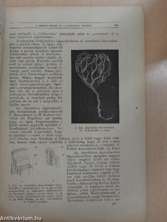 Természettudományi Közlöny 1930. december 15.