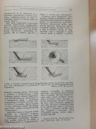 Természettudományi Közlöny 1933. május 1-15.