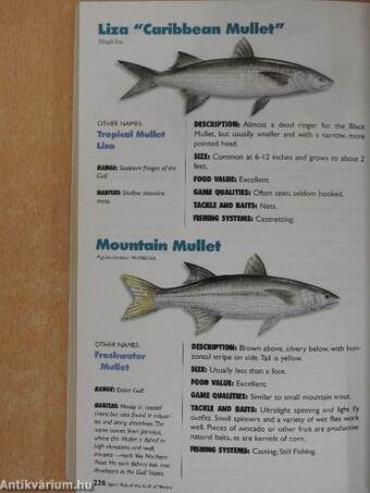 Sport Fish of the Gulf of Mexico