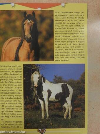 PonyClub Magazin 2006/7.