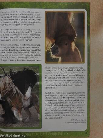 PonyClub Magazin 2008/3.