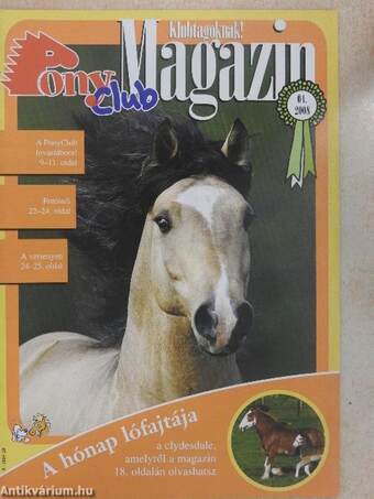 PonyClub Magazin 2008/4.