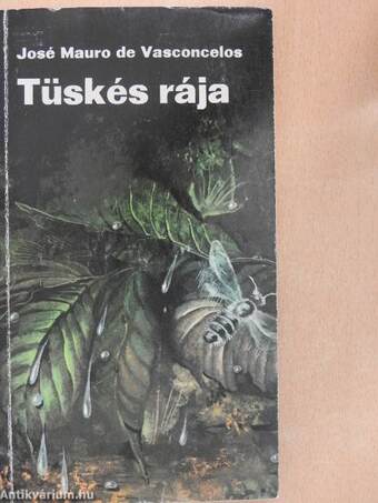 Tüskés rája