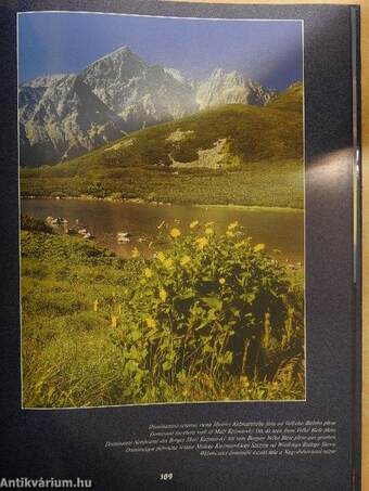 Tatranské panorámy/Panoramas of the Tatra Mountains/Die Panoramen der Tatra/Panoramy Tatrzanskie/Tátrai panoráma felvételek