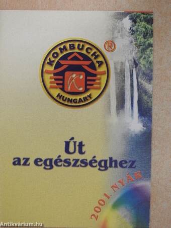 Út az egészséghez 2001. nyár