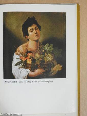 Caravaggio élete (dedikált példány)