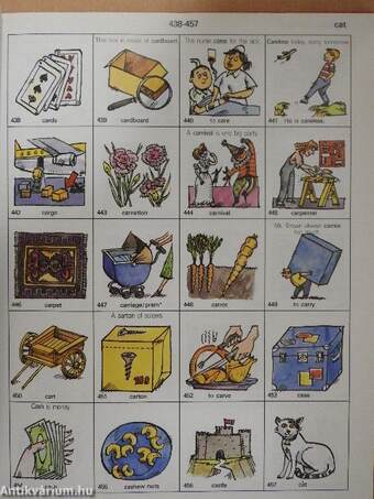 The Cartoon Picture Dictionary