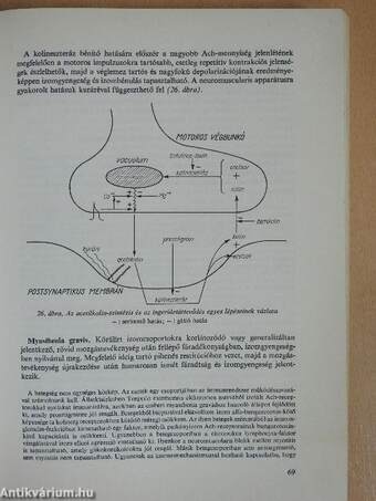 Élettan, kórélettan