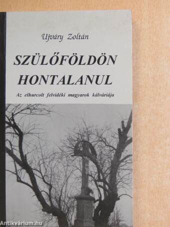 Szülőföldön hontalanul