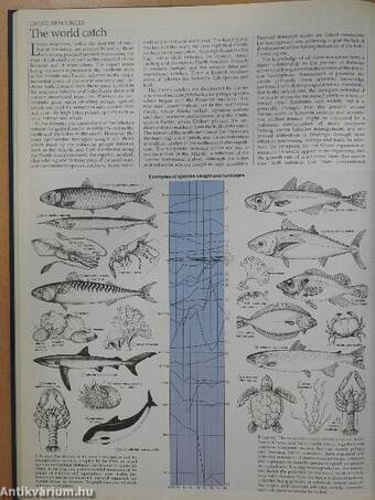 The Times Atlas and Encyclopaedia of the Sea