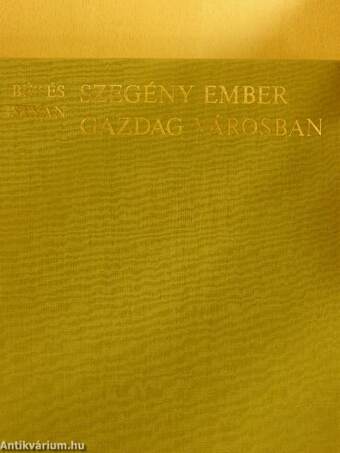 Szegény ember gazdag városban