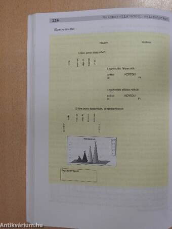 Érettségire felkészítő feladatgyűjtemény - Informatika - CD-vel