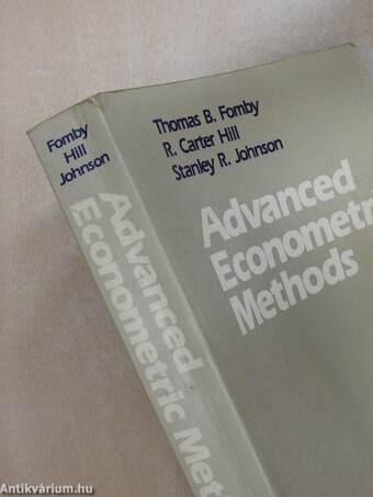 Advanced Econometric Methods