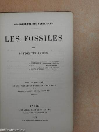 Les Fossiles