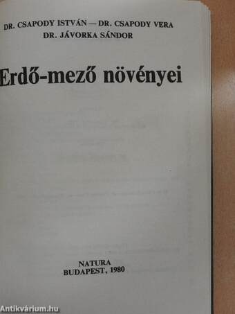 Erdő-mező növényei