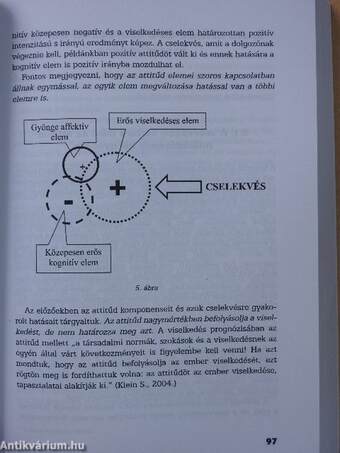 A munkahely szociálpszichológiai jelenségvilága I.