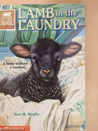 Lamb in the Laundry