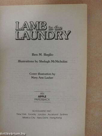 Lamb in the Laundry