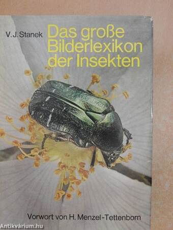 Das große Bilderlexikon der Insekten