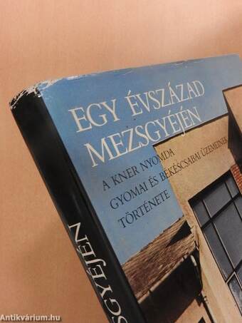 Egy évszázad mezsgyéjén