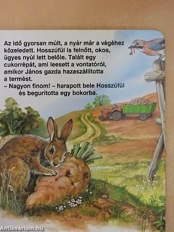 Hosszúfül nyuszi története