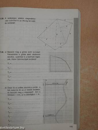 Matematika 8. - Gyakorló