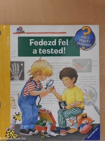 Fedezd fel a tested!