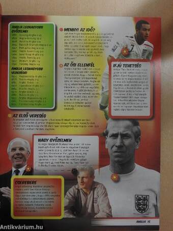 World Football Records 2010