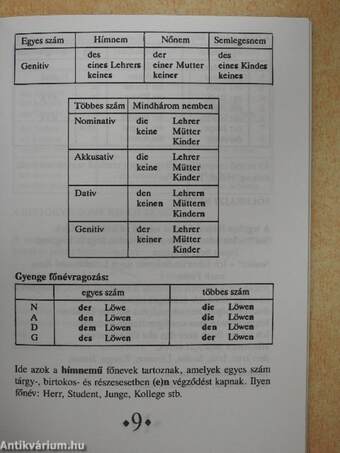 Német kisokos - Nyelvtani összefoglaló