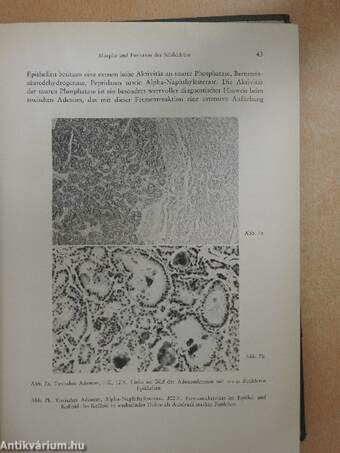 Radio-Isotope in der Endokrinologie