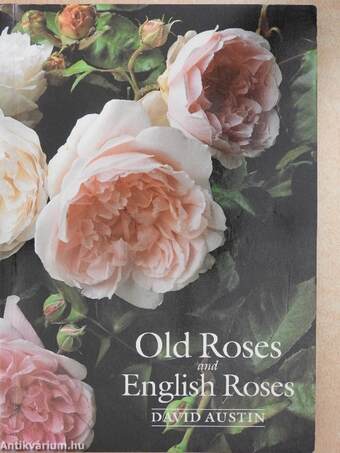 Old Roses and English Roses